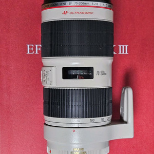 캐논 EF 70-200mm F2.8L IS II 새아빠 이미지