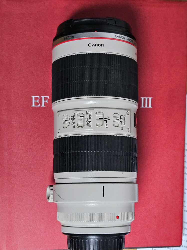 캐논 EF 70-200mm F2.8L IS II 새아빠 이미지