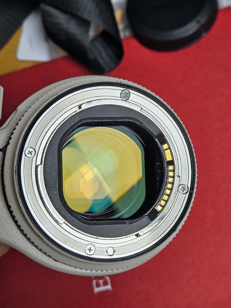 캐논 EF 70-200mm F2.8L IS II 새아빠 이미지