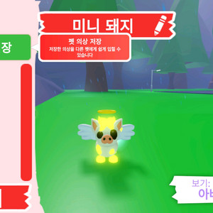 입양하세요 펫 메가네온 미니 돼지 (메미돼) 판매합니다 이미지