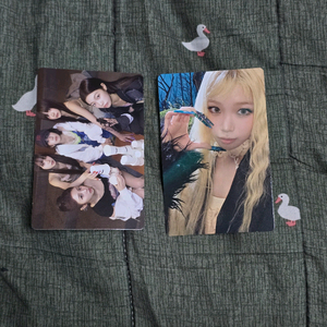 르세라핌 퓨어플로우 미니포카 일괄 판매 이미지