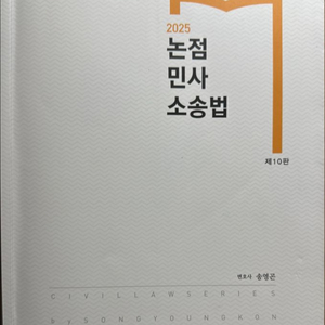 송영곤, 논점민사소송법(2025판) 이미지