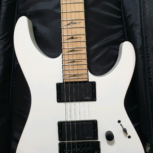 [새상품] ESP LTD Deluxe M-1000 일렉기타 이미지