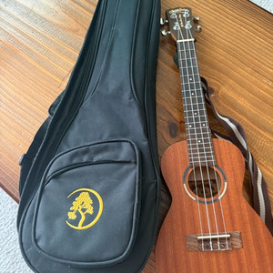orange guitars 우쿠렐레 이미지