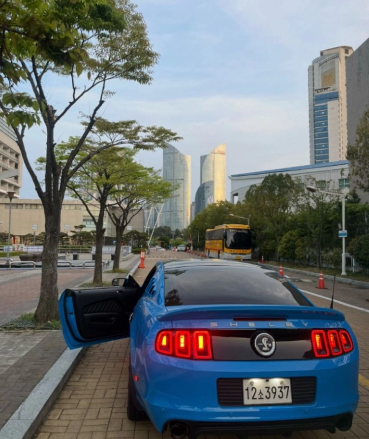 머스탱 5.5세대 쉘비튠 이미지