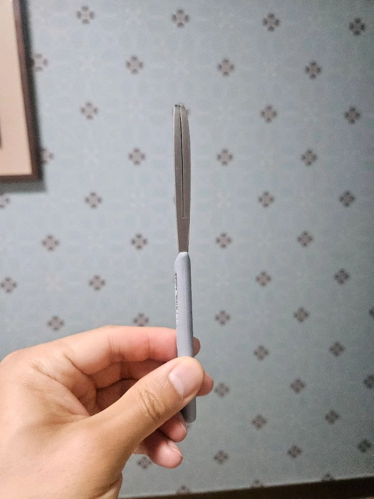 페더 아티스트 클럽 DX 일본 면도칼 그레이, 페더 프로페셔널 표준날 이미지