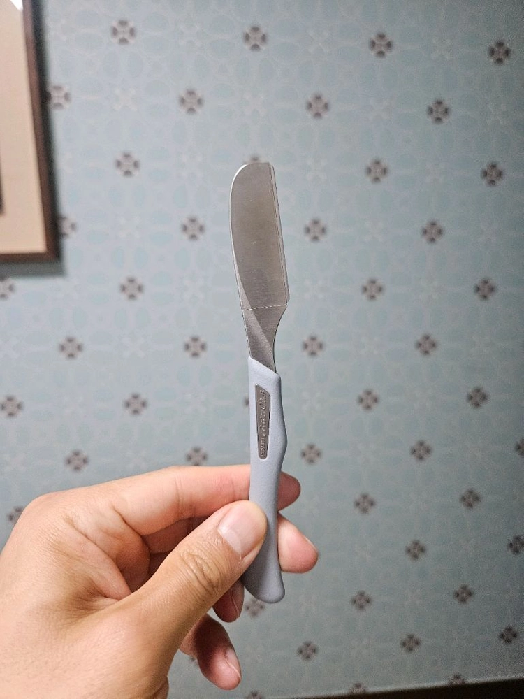 페더 아티스트 클럽 DX 일본 면도칼 그레이, 페더 프로페셔널 표준날 이미지