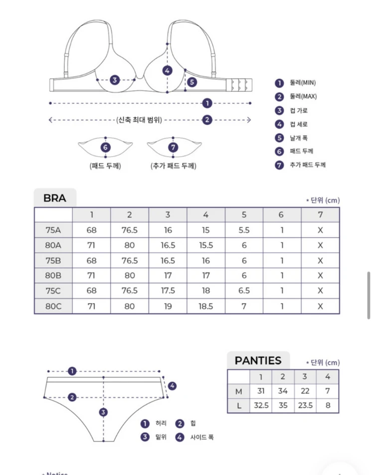 레이스 브라팬티 세트 이미지