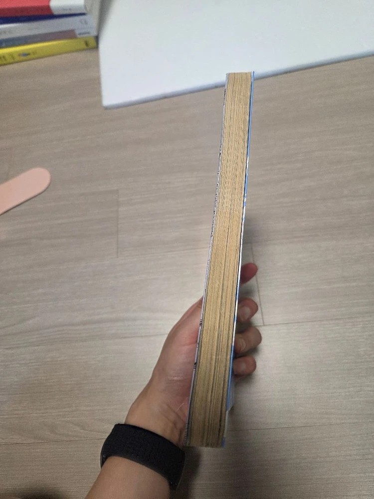 소장본) 김혜린 작가 만화 겨울새 깃털하나 이미지