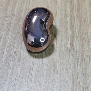 버즈라이브 브론즈 오른쪽 이미지
