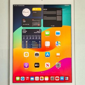 아이패드미니5 64GB 이미지