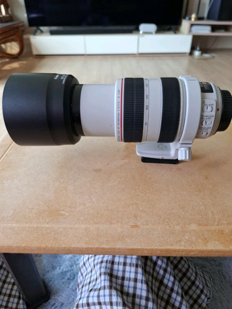 캐논 EF 70-300mm 망원 줌렌즈판매합니다 이미지