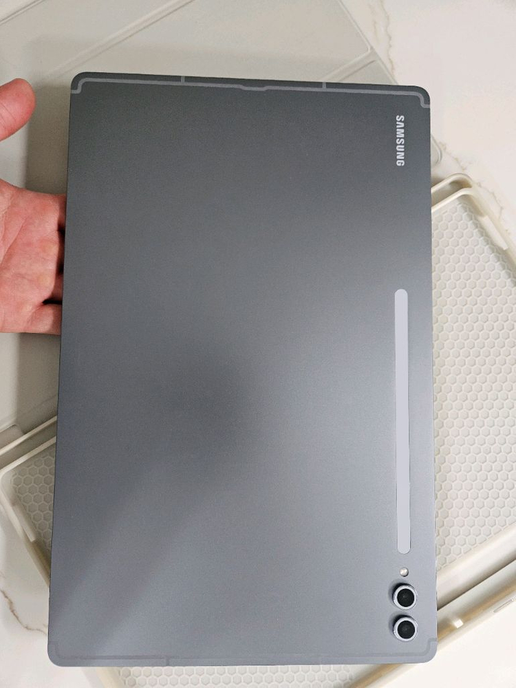 갤럭시탭 s10울트라 256 wifi 이미지