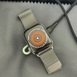 애플워치 에르메스7 45mm 본체 팝니다 이미지