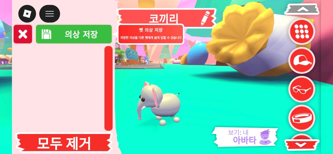 입양하세요 펫 코끼리 판매합니다 이미지