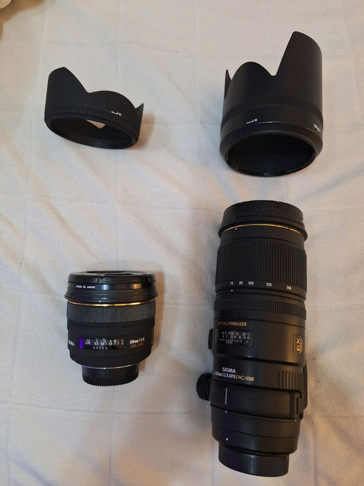 시그마 70-200mm 망원렌즈 이미지