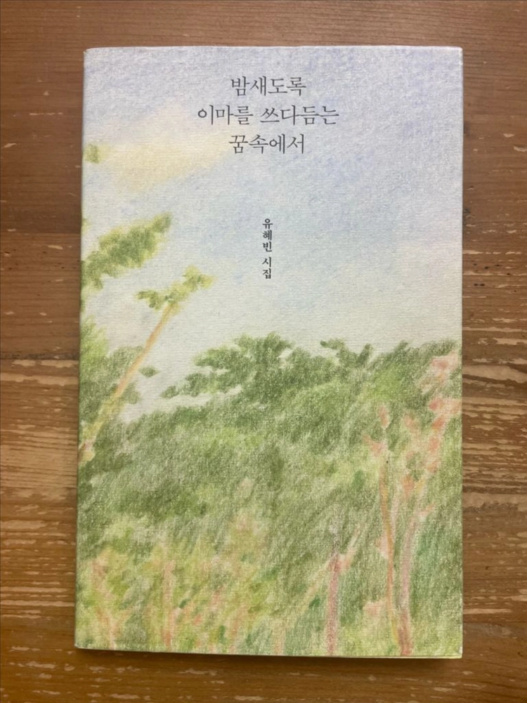 밤새도록 이마를 쓰다듬는 꿈속에서 : 유혜빈 시집 이미지