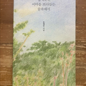 밤새도록 이마를 쓰다듬는 꿈속에서 : 유혜빈 시집 이미지