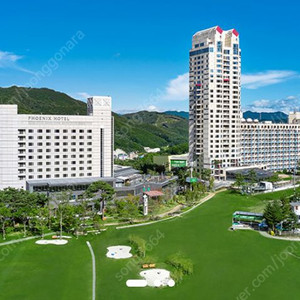 휘닉스평창20평형 6월6일 1박 양도합니다 이미지