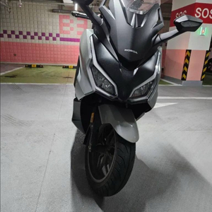 포르자 350 25년 이미지