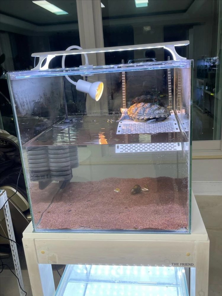 (경기 북부) 테라핀 키우던 프리미엄 받침대 축양장 + 45큐브 수조세트 상태 A급 어항 판매 (개별 가능) 이미지