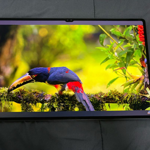 갤럭시탭 그라파이트 S9 Ultra 512GB 이미지