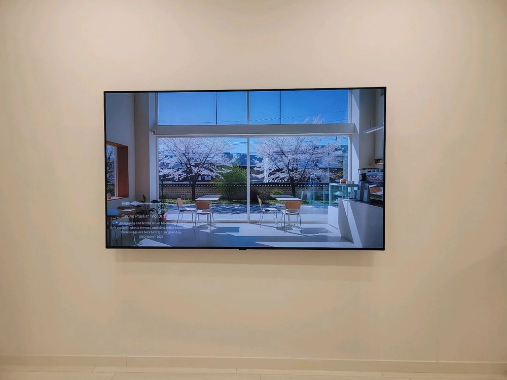 LG OLED 65인치 TV 이미지