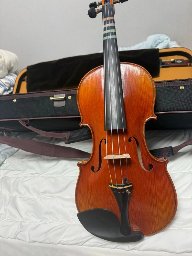 바이올린 mwv-600 이미지