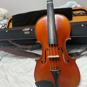 바이올린 mwv-600 이미지