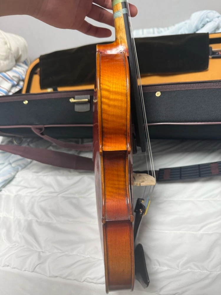 바이올린 mwv-600 이미지