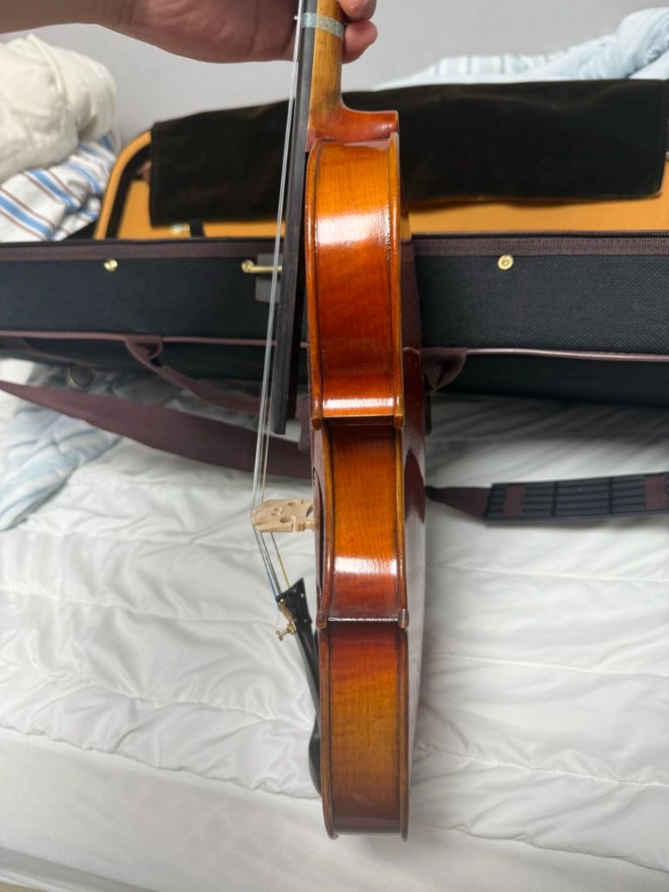 바이올린 mwv-600 이미지