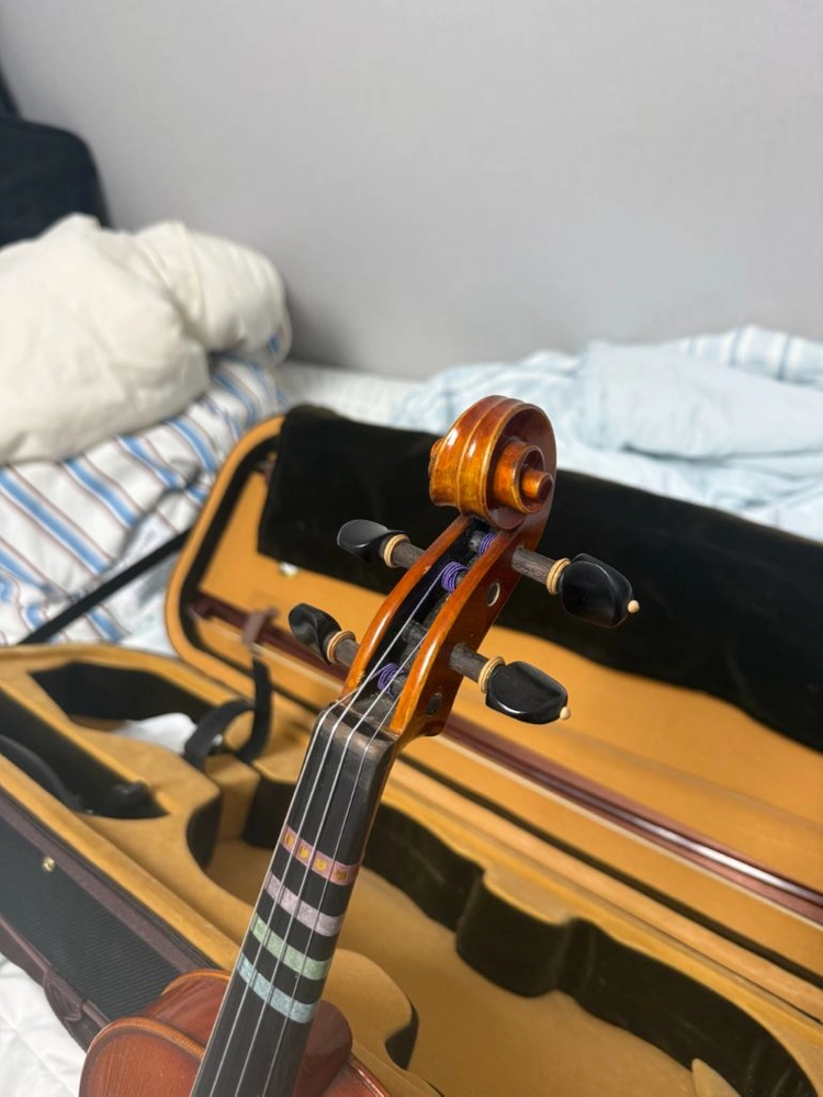 바이올린 mwv-600 이미지