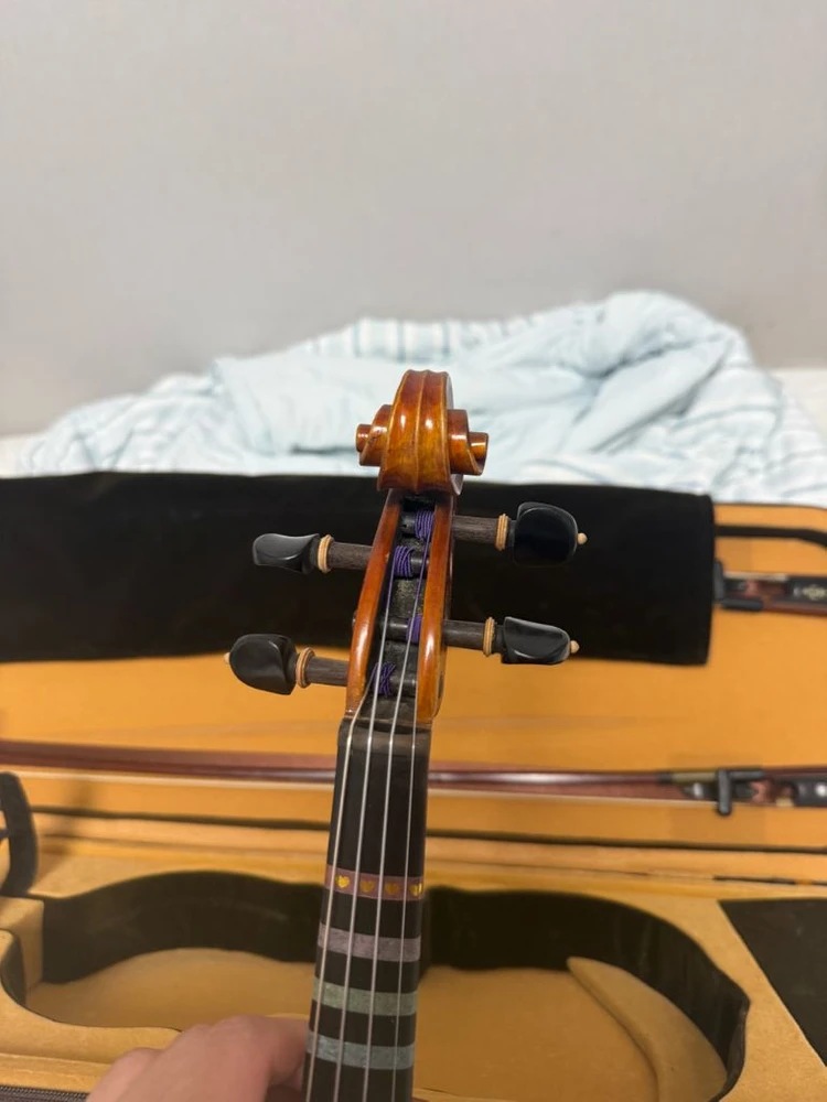 바이올린 mwv-600 이미지