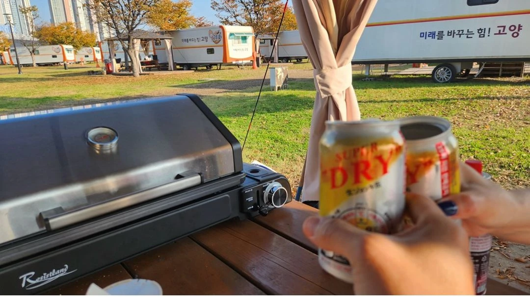 가스 그릴Ruxland 휴대용 가스 그릴 BBQ-200 훈제 구이바다 이미지