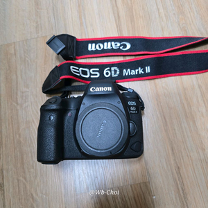 캐논 EOS 6D Mark II DSLR