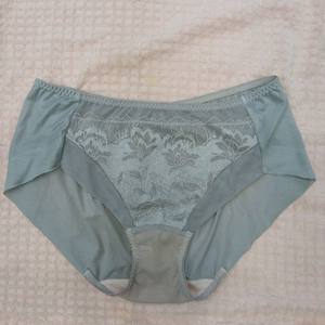 여성 팬티 이미지