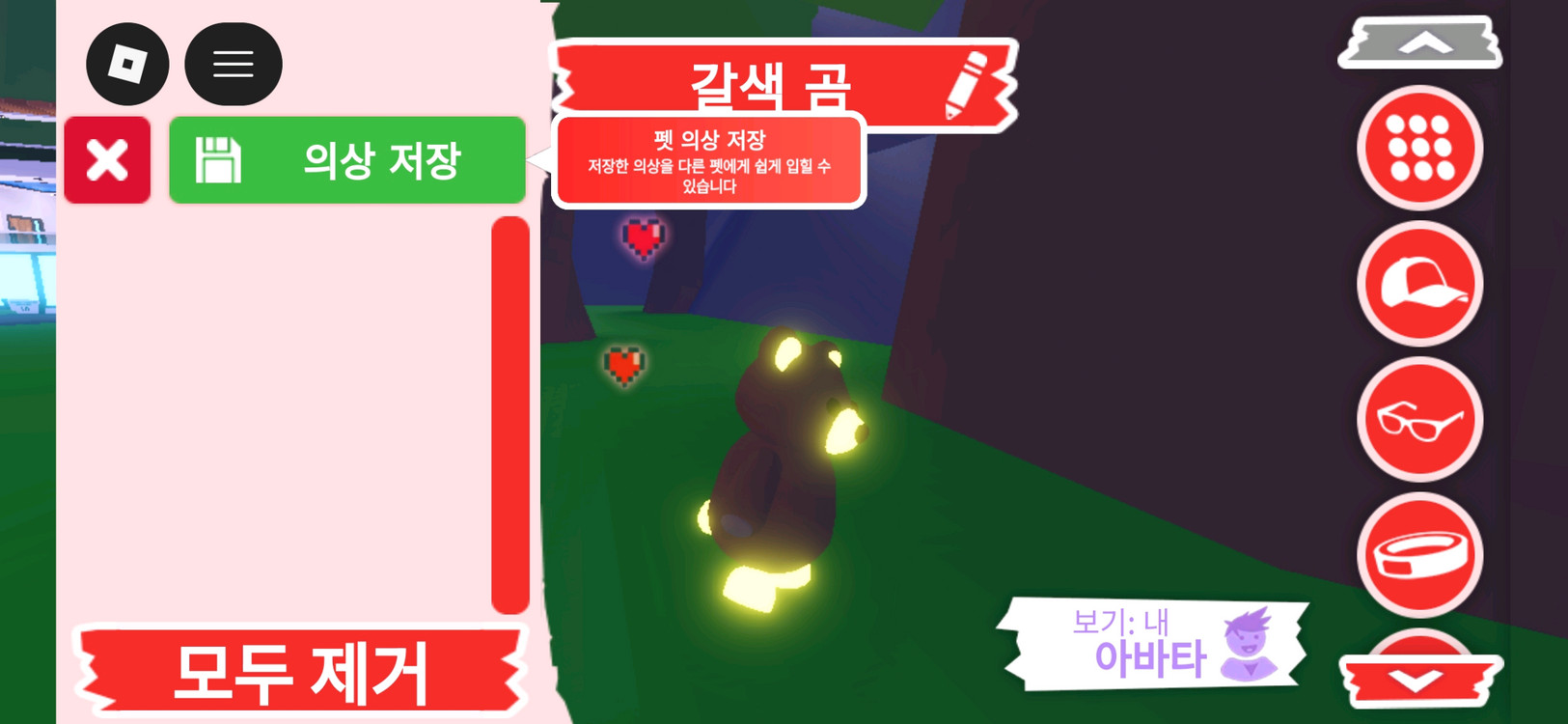 입양하세요 펫 메가네온 갈색 곰(메불곰) 판매합니다 이미지