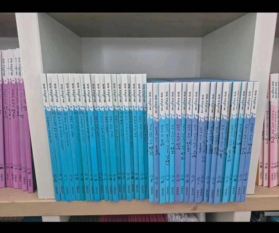 탄탄 자연속으로 100권 이미지