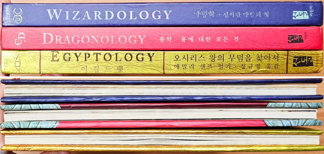 이집트학 마법학 용학 에밀리 샌즈 서돌 고고학 오시리스 무덤 팝업 플레이 신비한 마법의 책 용에 대한 모든것 고전 이미지