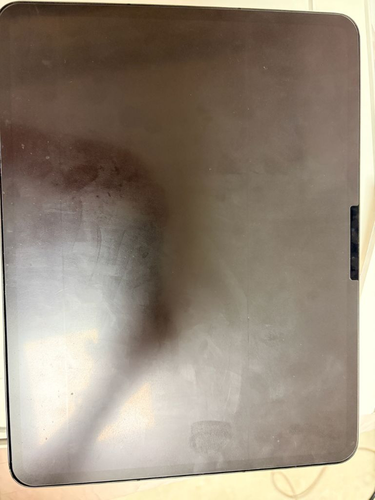 아이패드 프로 m4 13인치 셀룰러 1TB 이미지