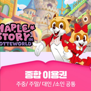 (최저가/당일가능) 잠실 롯데월드 종일권/오후권 모바일티켓 이미지