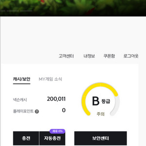 충전된 넥슨캐시 선물식 20만원 80% 팝니다 이미지