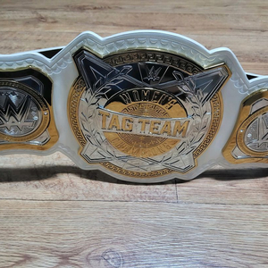wwe 여성 태그팀 벨트 이미지