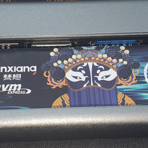 Fanxiang S690QM M.2 NVMe SSD 4TB 팝니다. 이미지