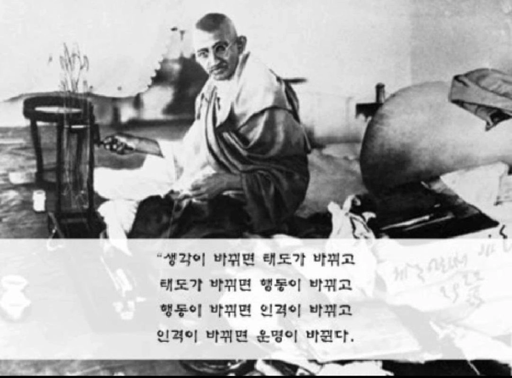 인도 간디 기념 티셔츠 Gandhi, Mohandas Karamchand 티셔츠 XL 미개봉 신품 이미지