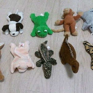 몬테소리 돼지 인형 구매합니다 이미지