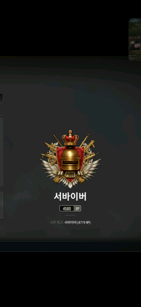 배그 대리문의 이미지
