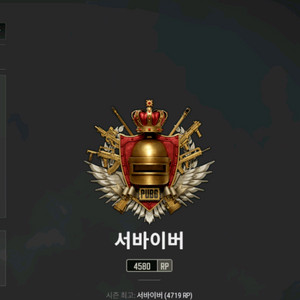 배그 대리문의 이미지