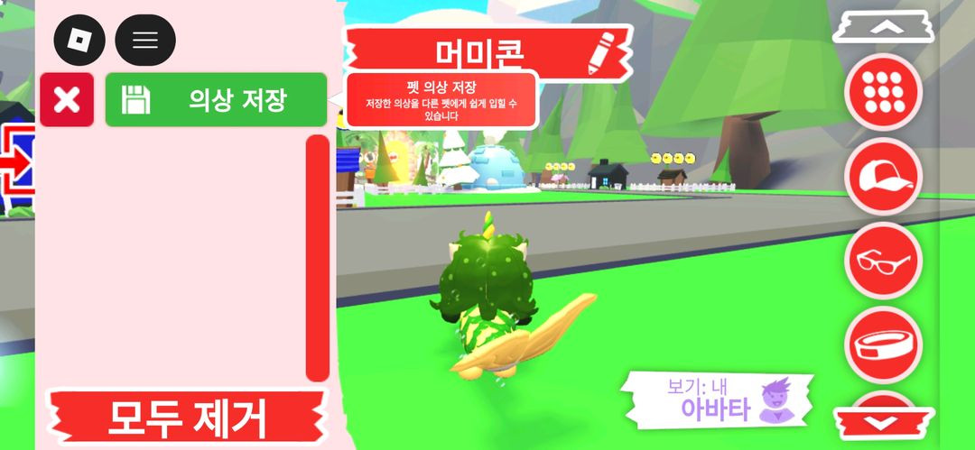 입양하세요 펫 머미콘 판매합니다 이미지