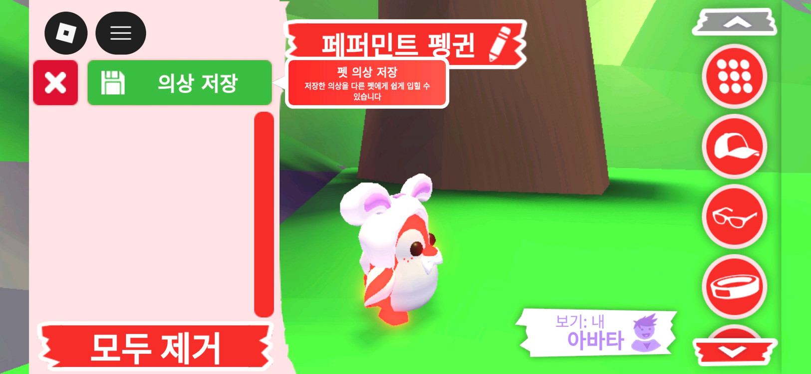 입양하세요 펫 메가네온 페퍼민트 펭귄(메페펭)판매합니다 이미지